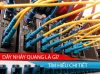 Dây nhảy quang là gì, tìm hiểu chi tiết