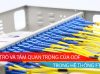 vai trò và tầm quan trọng của ODF trong hệ thống FTTH